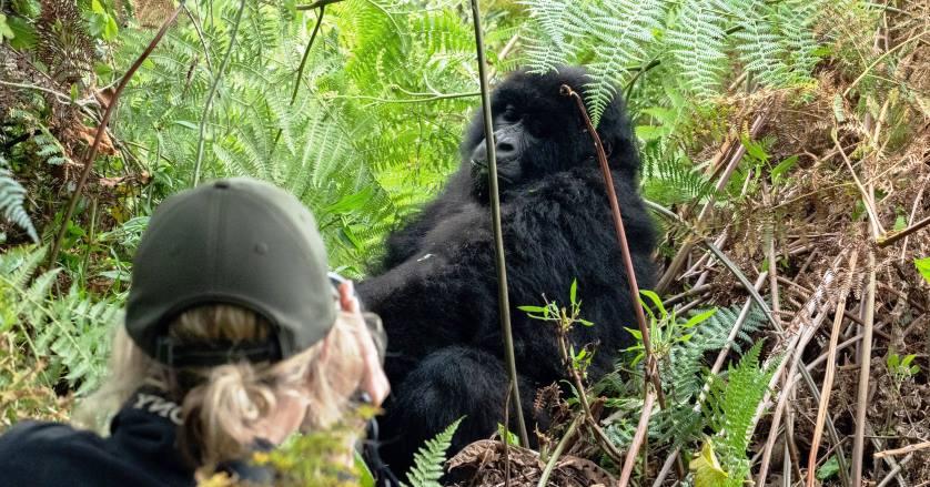 2 Day Rwanda Gorilla Tour