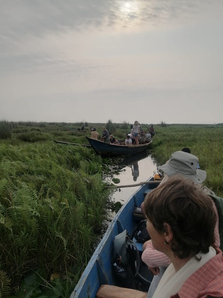 Mabamba Swamp Shoebill Tracking