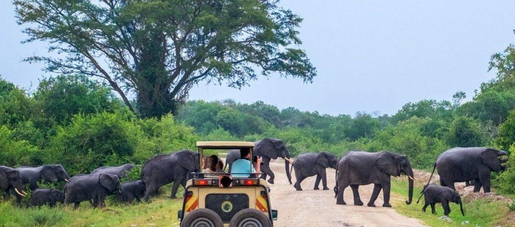 Queen Elizabeth National Park