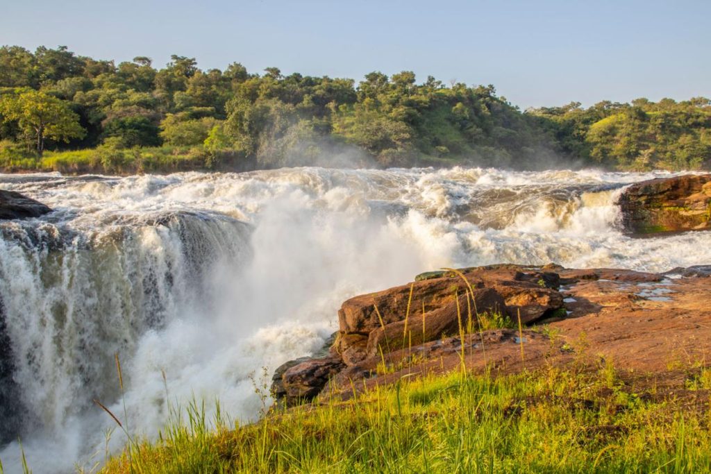 10 Days Wild Uganda Safaris