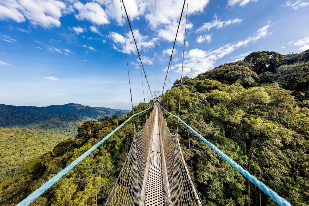NYUNGWE FOREST NATIONAL PARK